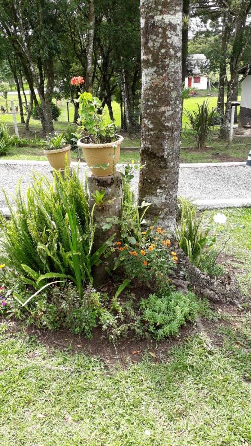 Recanto Do Saiqui Canela Exterior photo