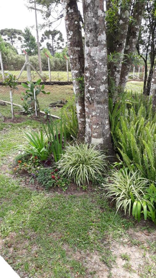 Recanto Do Saiqui Canela Exterior photo