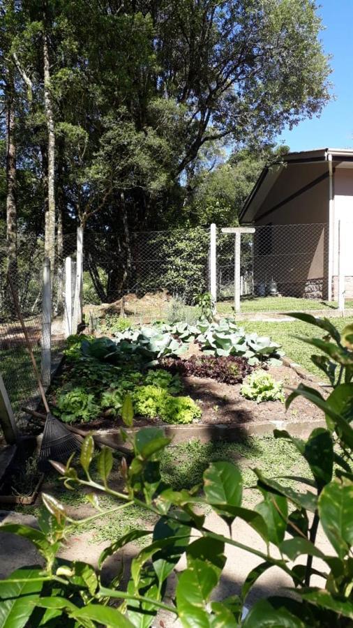 Recanto Do Saiqui Canela Exterior photo
